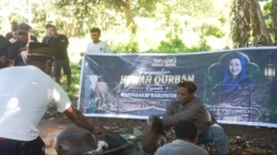 Julie Sutrisno Laiskodat Salurkan Sapi Kurban untuk Jamaah Masjid di Alor