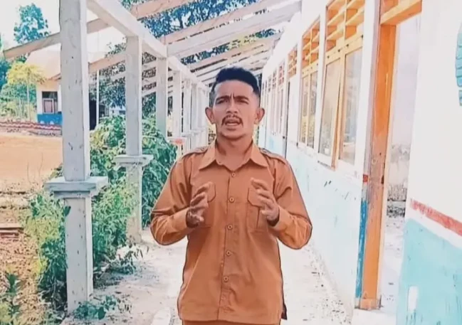 nelis-ollang