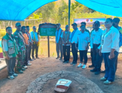 Pemkab Alor Genjot Produksi Pangan Lokal, Kebutuhan Beras Capai 24 Ribu Ton per Tahun